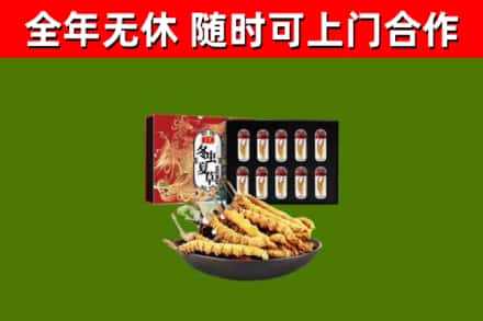 察布查尔县回收冬虫夏草价格